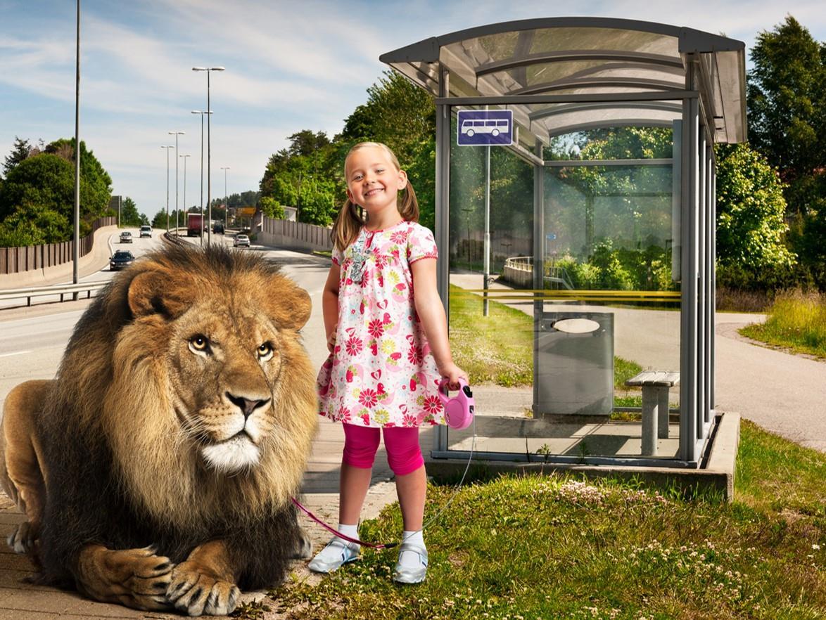 bilde å reise med dyr på lokalbuss - Klikk for stort bilde
