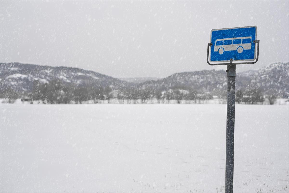 busstoppskilt i snøvær - Klikk for stort bilde
